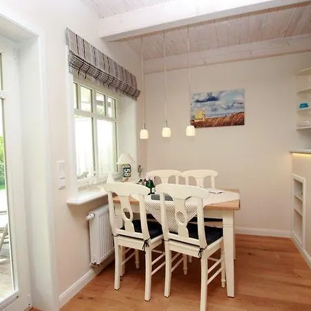 Haus-sturmmoewe-nr-47-sfw-47